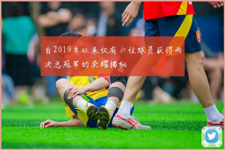 自2019年以来仅有六位球员获得两次总冠军的荣耀揭秘